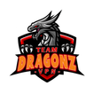 DRAGONZ VPN PRO