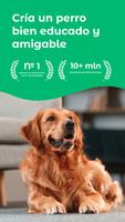 Dogo Poster