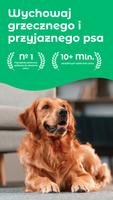 Dogo plakat