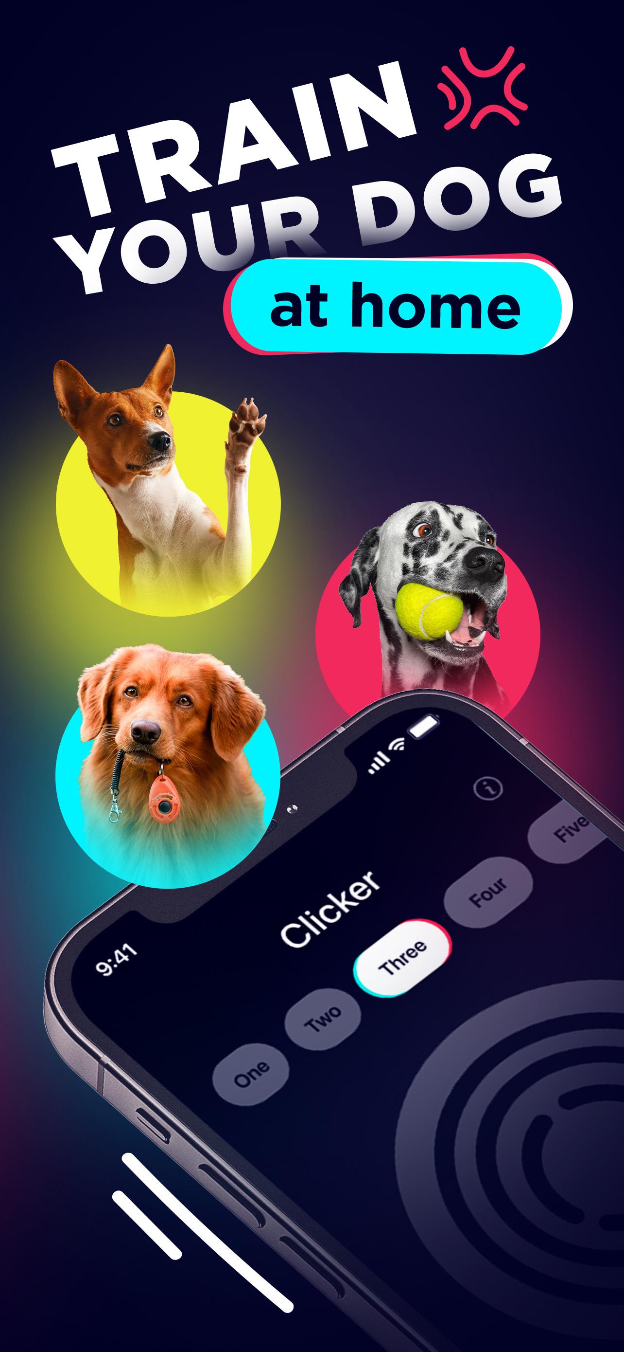 DogTok APK for Android Download DogTok APK for Android Download