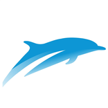 Dolphin دولفين