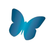 V v V Kampen/Nop APK