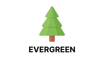 Evergreen poster