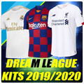Dls Kit Changer 2020