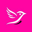 Extetica APK