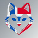 APK Erla: Learn Norwegian with AI