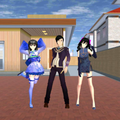 Guide Sakura Sim