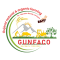 Gunfaco