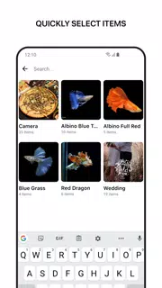 1Gallery: Photo Gallery/Vault