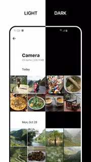 1Gallery: Photo Gallery/Vault