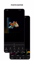 1Gallery: Photo Gallery/Vault XAPK download
