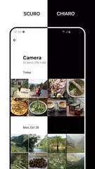 download 1Gallery: Galleria/Cassaforte XAPK