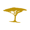 Acacia Collections APK