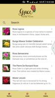 Grace Rose Farm постер
