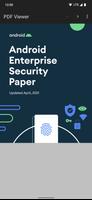 Secure PDF Viewer Plakat