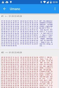 Packet Capture 截图 2