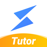 SnapSolve Tutor: The Teacher A