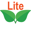 Mirror Lite