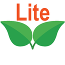 Mirror Lite APK