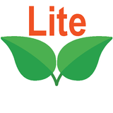 Mirror Lite أيقونة