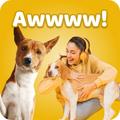 Cat & Dog Training App