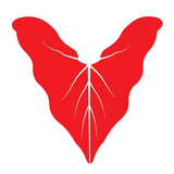 Iamitsekiri APK