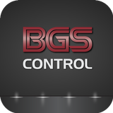 BGS আইকন