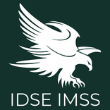 Guía IDSE IMSS