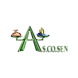 Ascosen