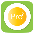 Flutter To Do App Pro icon