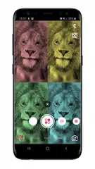 Face Filters XAPK download