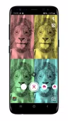 Face Filters XAPK download