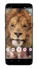 Face Filters XAPK download