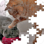 ”Joke And Fun Image Puzzle