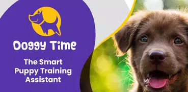 Doggy Time: Welpentraining