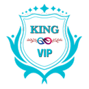 KING UDP VIP APK