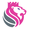 KinGvpn APK