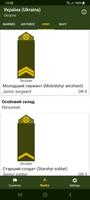 Grades militaires Affiche