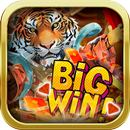 Winner Zig Zag-APK