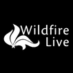 Wildfire