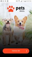 Pets Brasil penulis hantaran