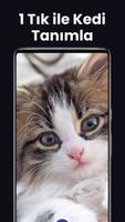 Kedi Tanıyıcı - Catby Ekran Görüntüsü 1