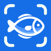 Balık Tanıma - Fishby