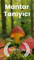 Mantar Tanımlama - Mushby gönderen