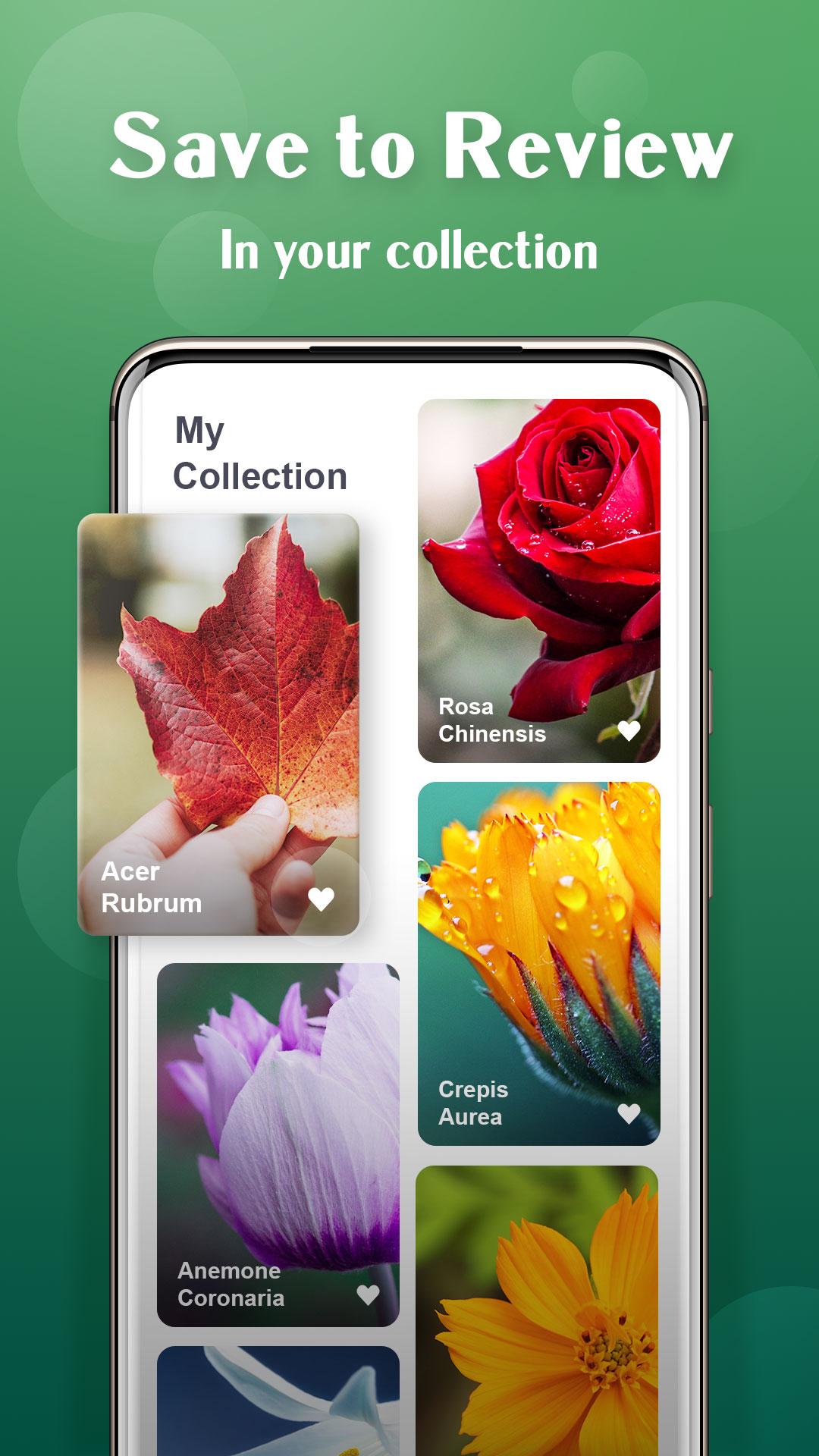 Plant Lens Plant &amp; Flower Identification APK 1.43 für