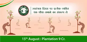 15 August : Plantation 9 Cr.