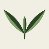 Plumula: AI Plant Doctor