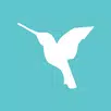 Polygloss: Learn Languages APK