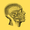Position and Anatomy Book APK
