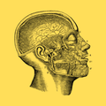 ”Position and Anatomy Book